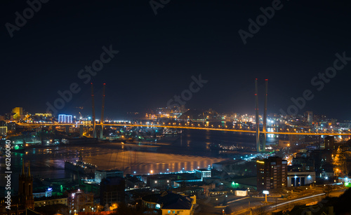 Vladivostok cityscape  winter. Night view.