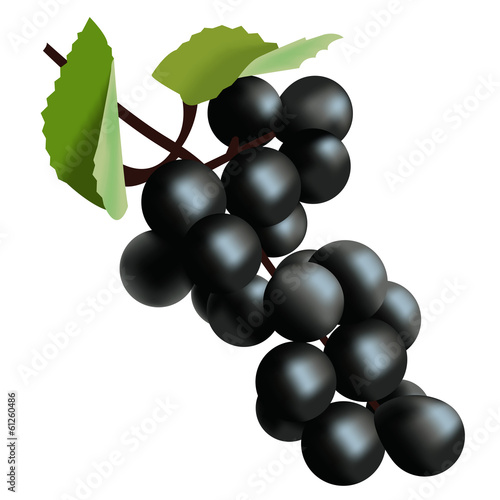 Bunch of grapes on a white background