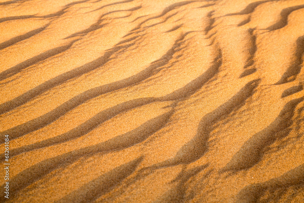 Fototapeta premium Arabian desert