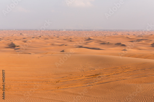 Car track in the desert