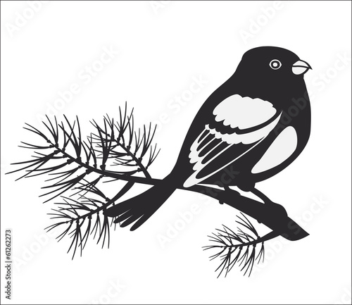 black silhouette of bullfinch