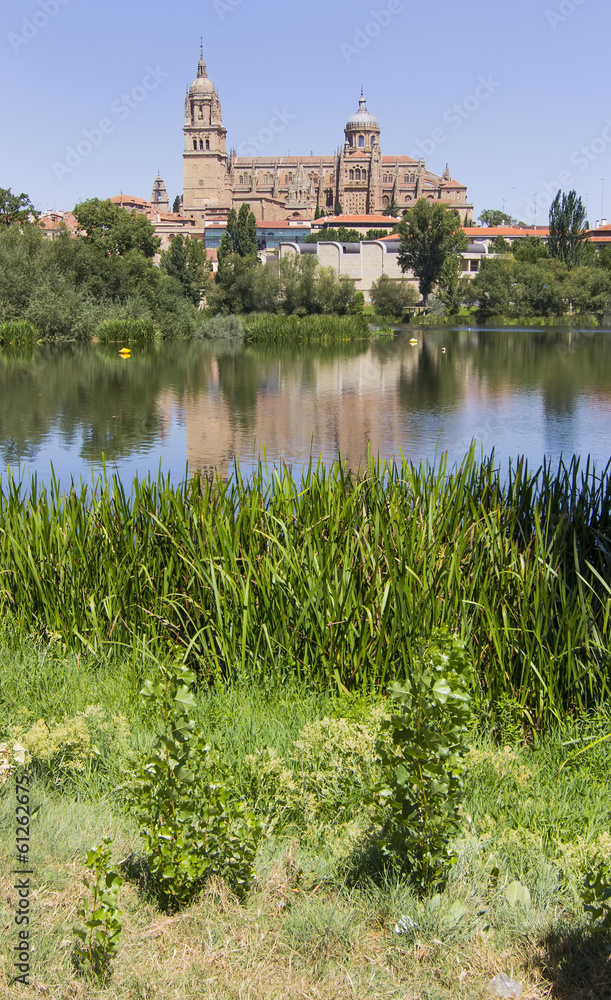 general view of the Cathedral of Salamanca, Spain