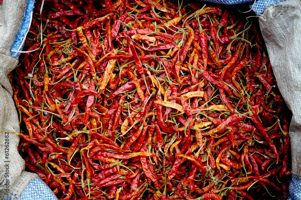 Fototapeta premium dried chilli spices