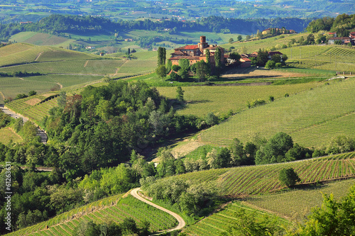 Green hills and vineyards of Piedmont, Italy.