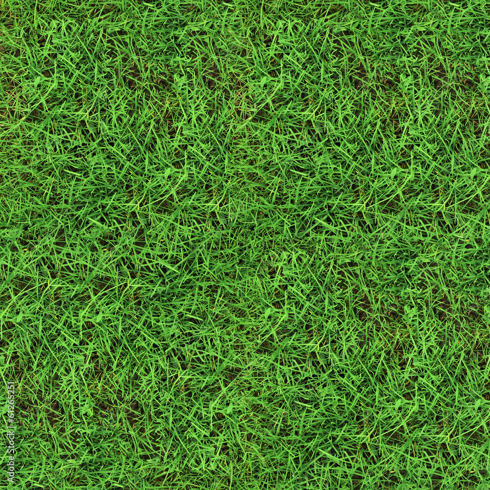 Green grass seamless texture