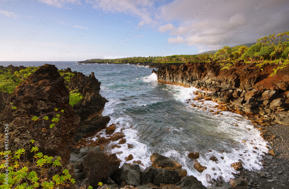 Obraz premium Ocean views in Waianapanapa State park