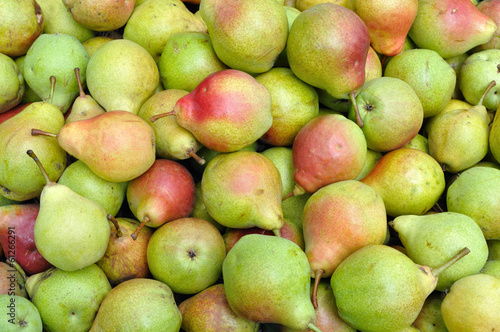 close-up of ripe organic pears