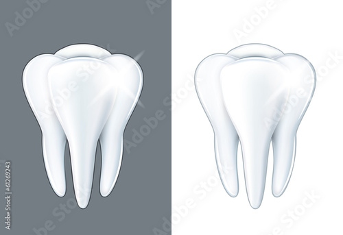 Shiny tooth isolated on white vector
