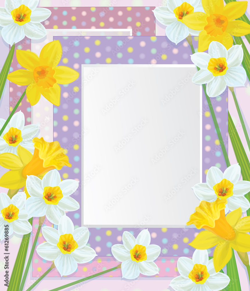 Vector empty photo frames with daffodils.