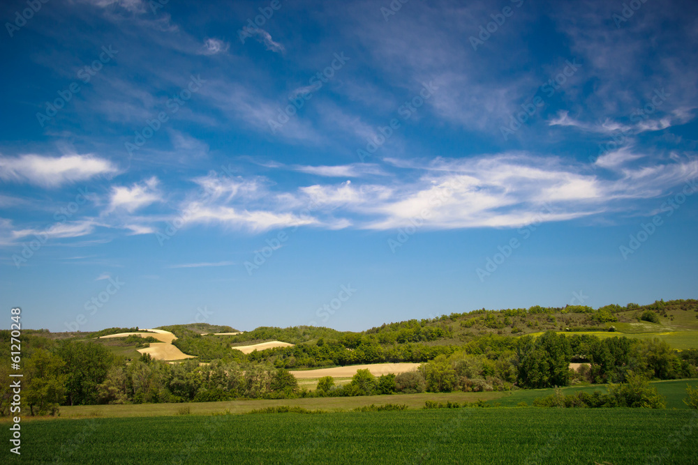 fields and meadows of south France