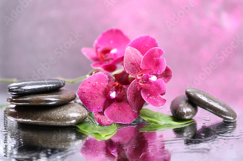 Fototapeta Naklejka Na Ścianę i Meble -  Composition with beautiful blooming orchid with water drops and