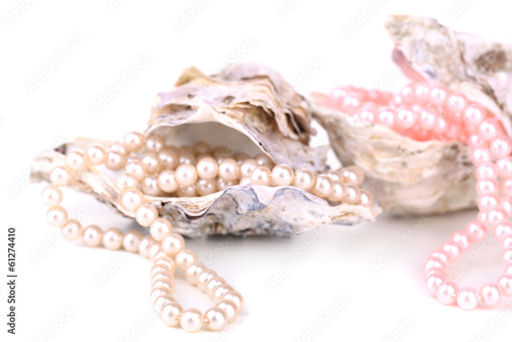 Shells with pearls, isolated on white Shells with pearls, isolated on white
