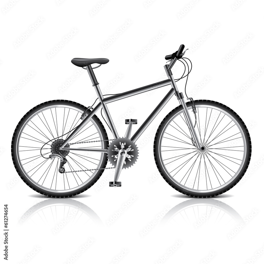 Fototapeta premium Mountain bike isolated on white vector