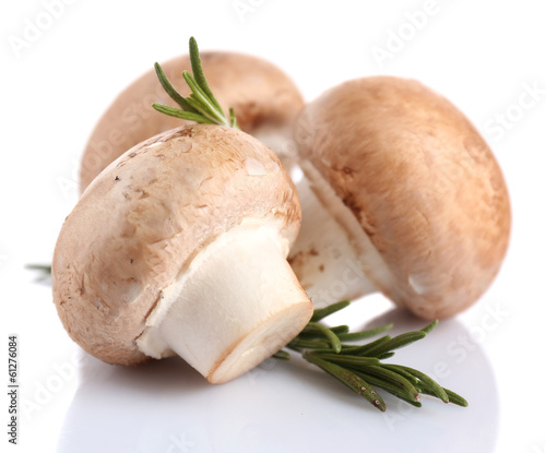 Fresh mushrooms isolated on white