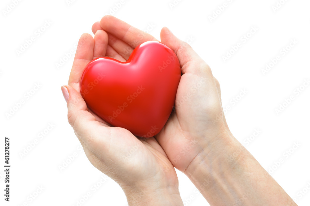 Heart in the hands isolated