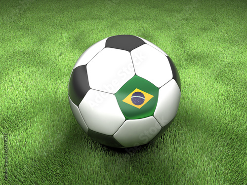 Weltmeisterschaft  Brasilien  WM  Worldcup