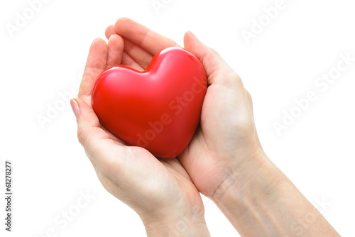 Heart in the hands isolated