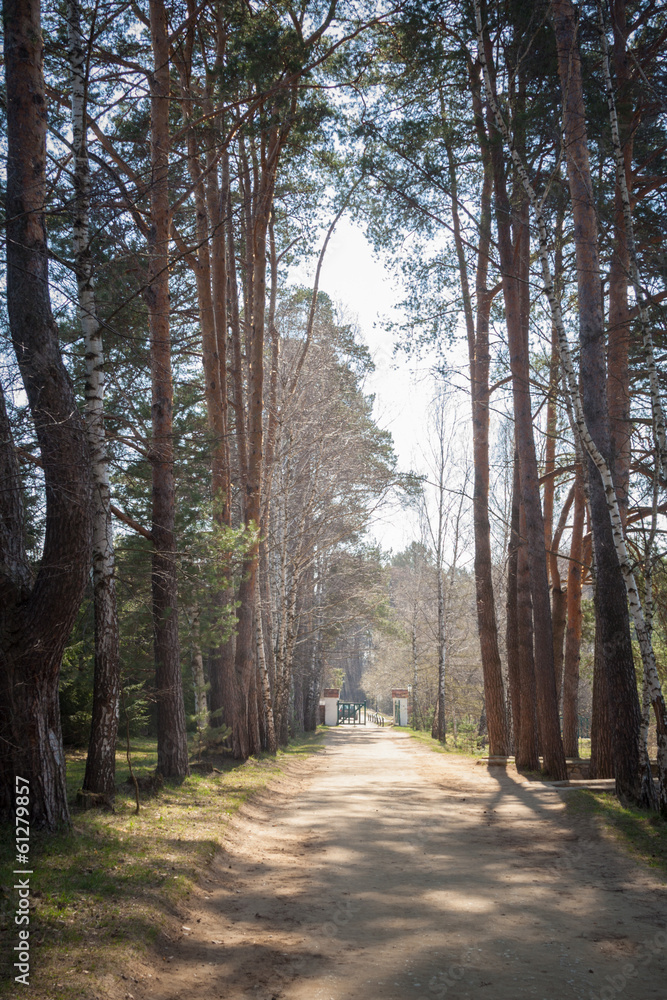 Obraz premium Park entrance