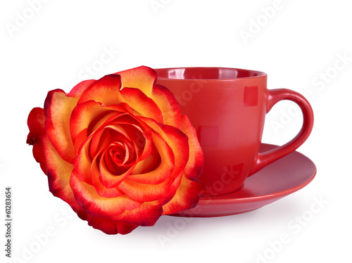 Still life with a mug and a beautiful rose