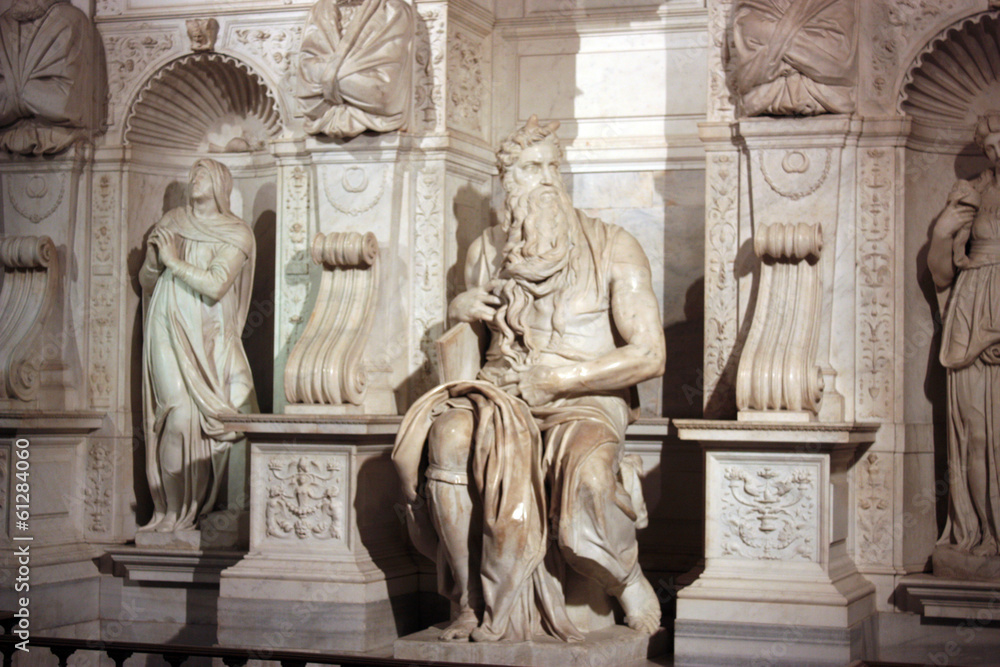 Fototapeta premium MOSE