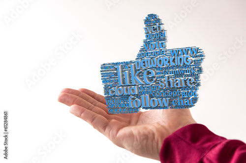 Wallpaper Mural like thumb Torontodigital.ca