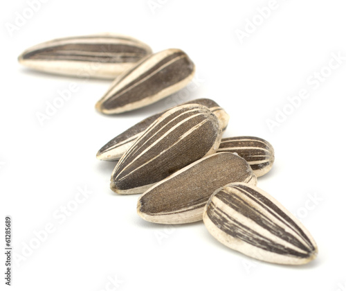 Wallpaper Mural Sunflower seeds isolated on white background Torontodigital.ca