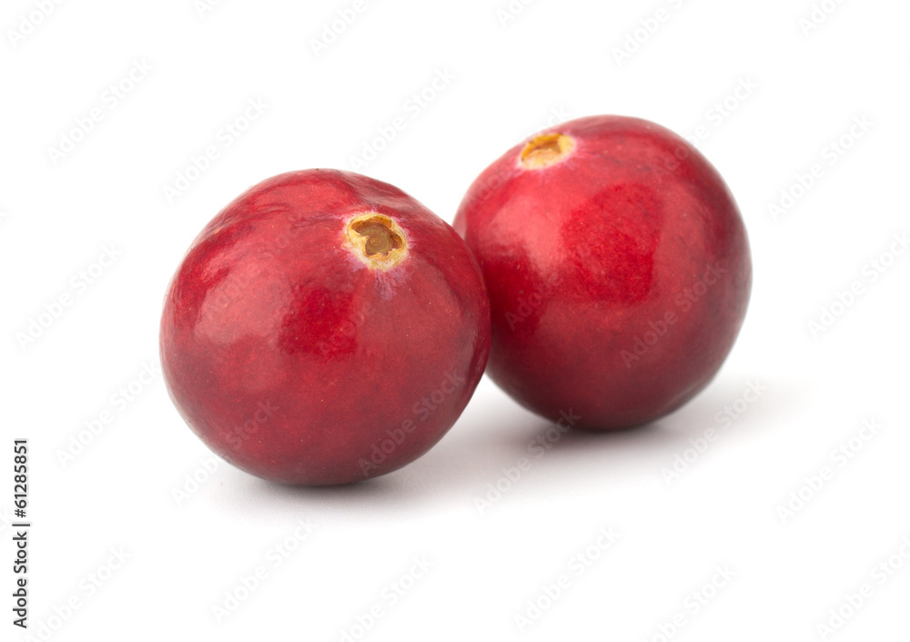 Cranberry isolated on white background closeup Cranberry isolated on white background closeup