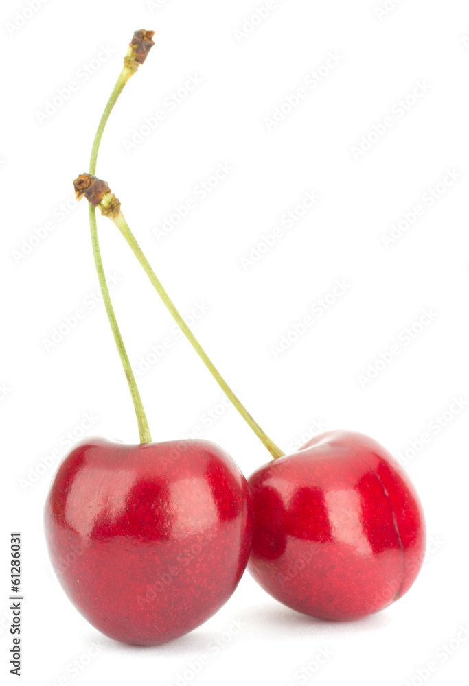 Cherry isolated on white background Cherry isolated on white background