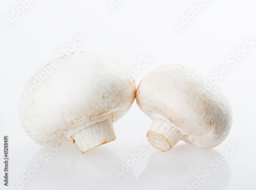 Champigny mushrooms