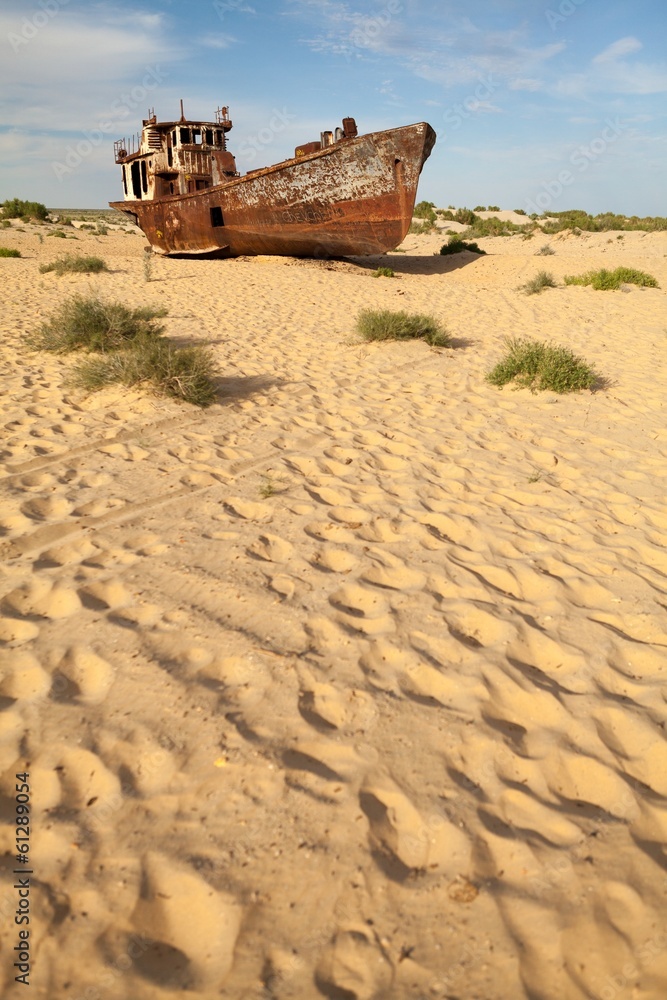 Lost Aral Sea