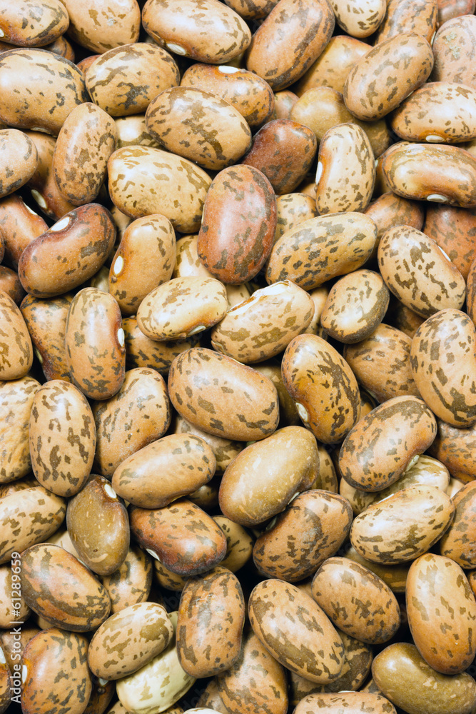 Pile of Dry Food Pinto Beans Healthy Ingredient Pile of Dry Food Pinto Beans Healthy Ingredient