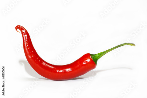Chili isolated