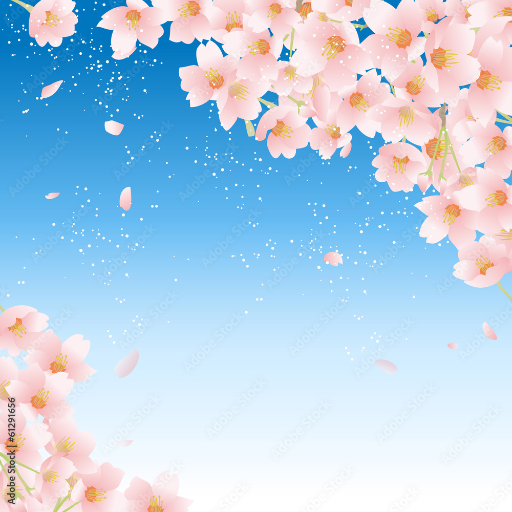 桜 春 桜 春