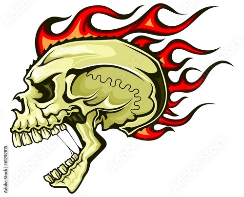 brown flaming skull