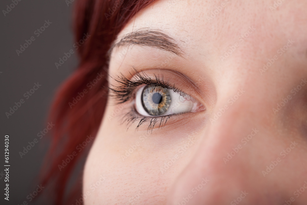 Portrait of a pretty girl close up eye Portrait of a pretty girl close up eye