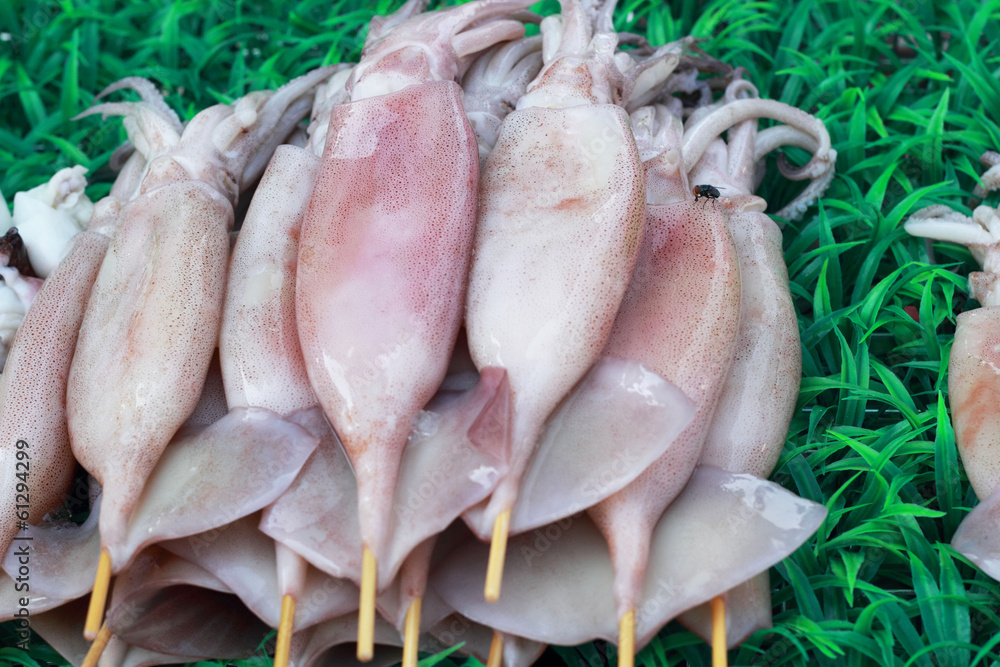 B-B-Q Grilled Squid in the market