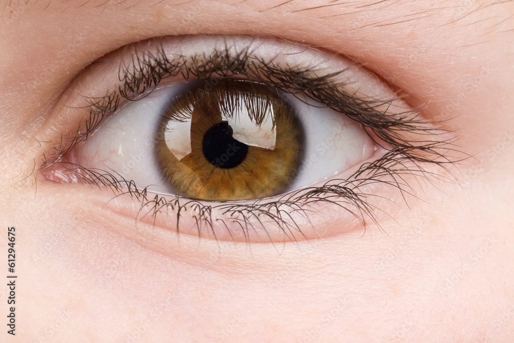 Fototapeta premium teenager eye macro
