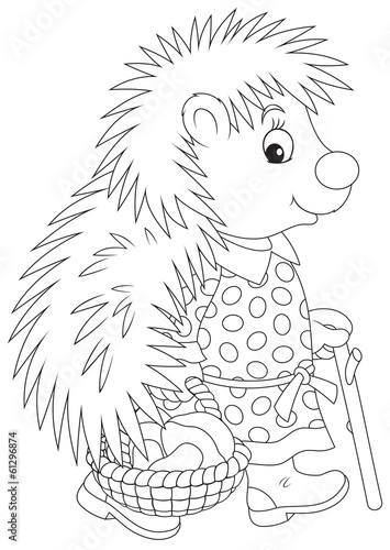 Hedgehog mushroomer