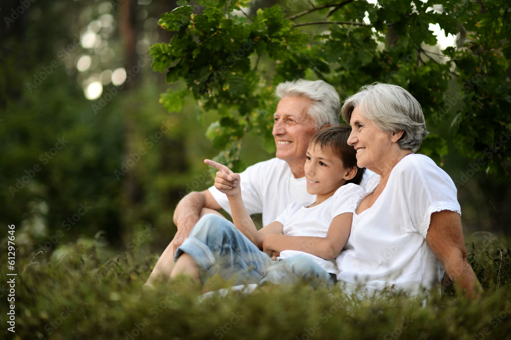 Fototapeta premium Happy family having a picnic