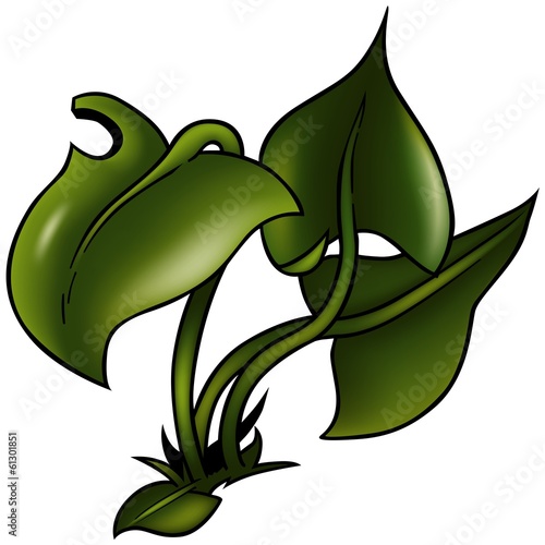 Grass With Big Leafs