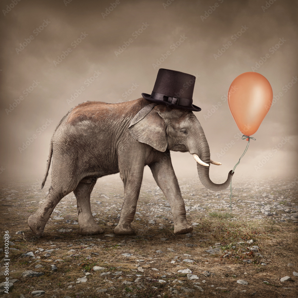 Elephant with a balloon - obrazy, fototapety, plakaty 