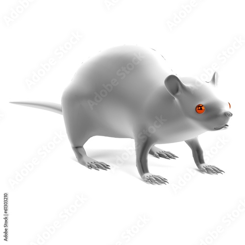 245,807 Rat Images, Stock Photos, 3D objects, & Vectors