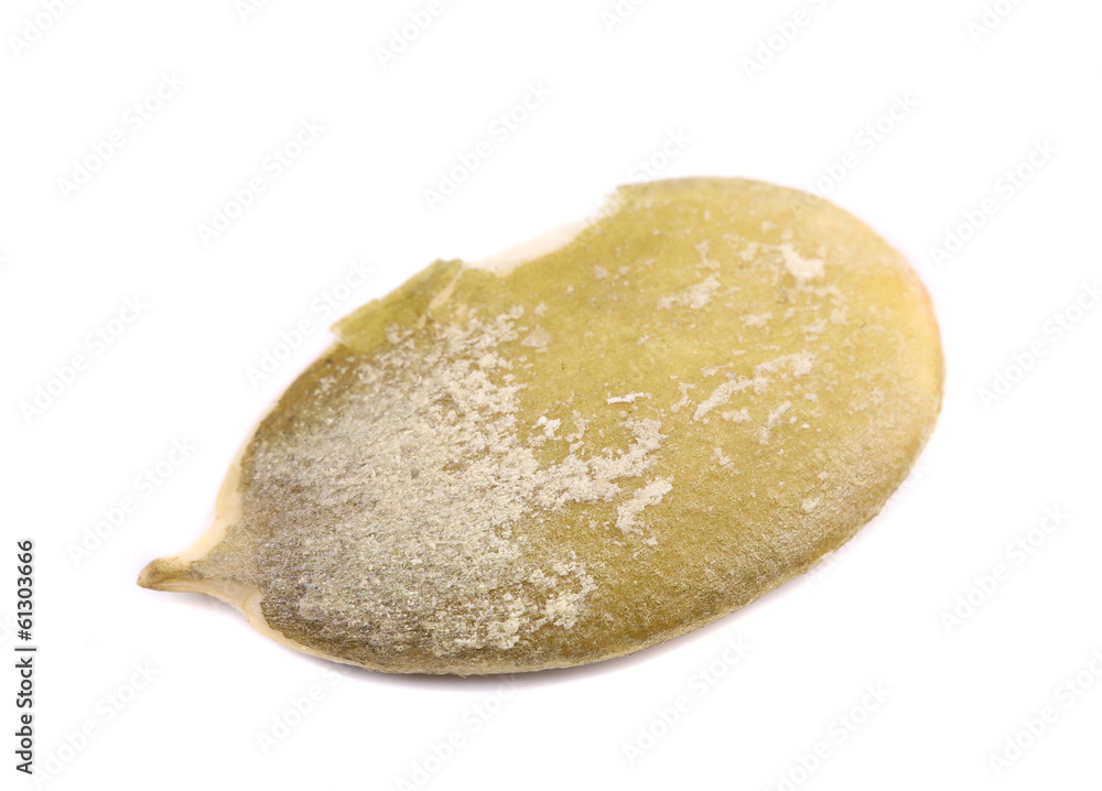 Close up of pumpkin seed. Close up of pumpkin seed.