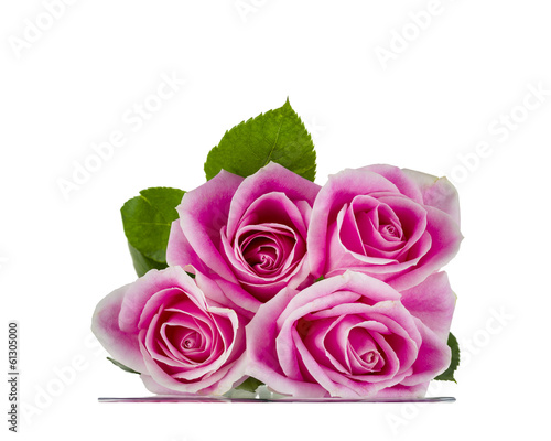 Pink Roses Resting on Glass