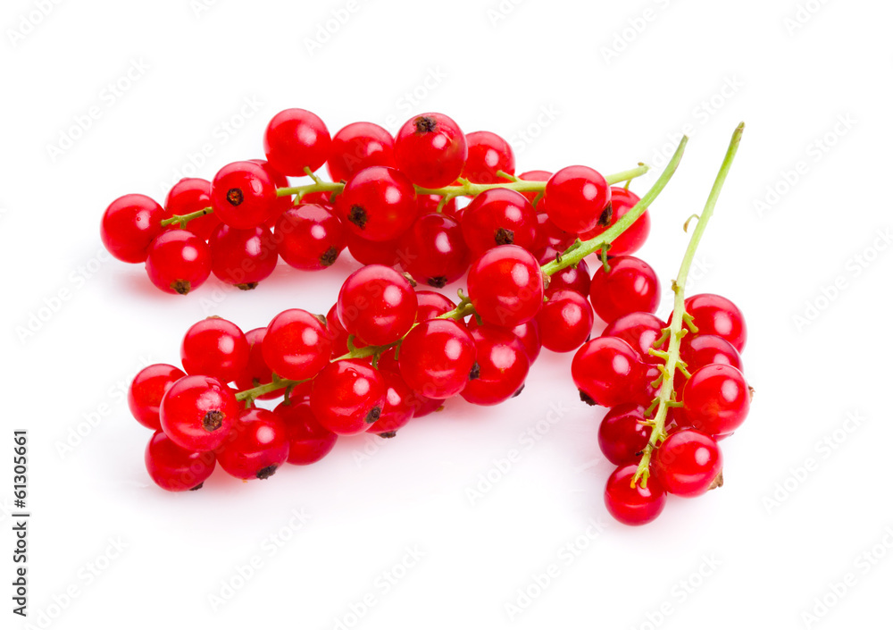 Red currant. Berries on stem isolated on white Red currant. Berries on stem isolated on white