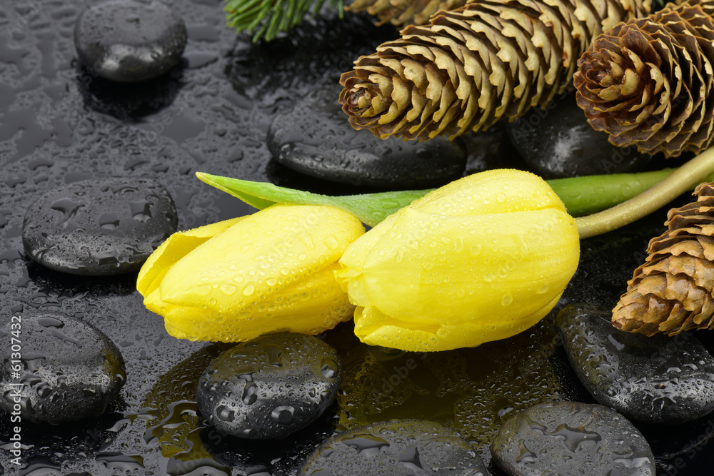 Obraz premium Tulipany z kamieniami do spa