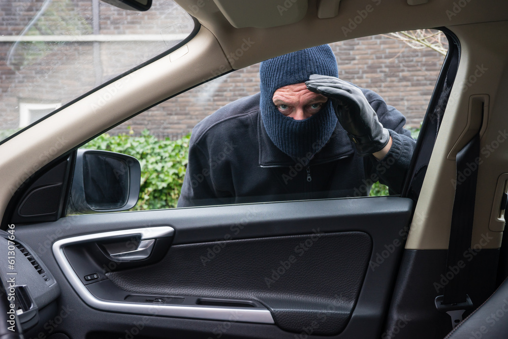 Car burglar in action