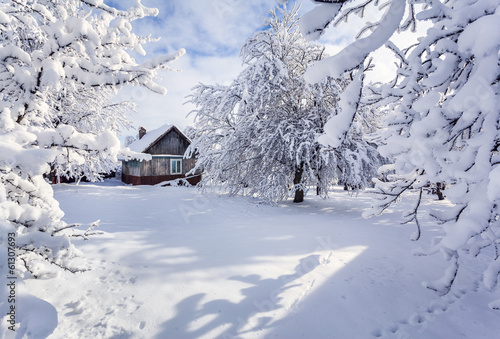 Winter fairytale, heavy snowfall covered the trees and houses in © Andrew Mayovskyy