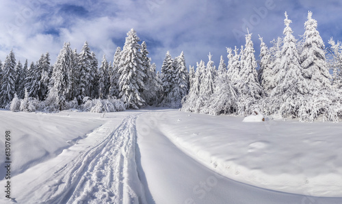 Winter landscape with fir-trees and fresh snow.