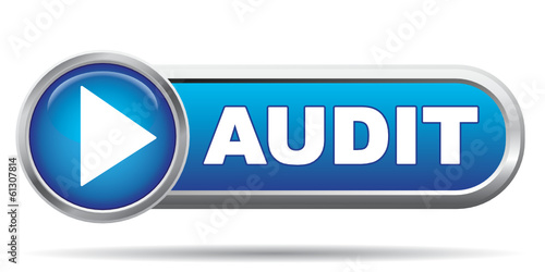 AUDIT ICON